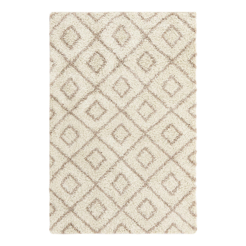 Geometric Indoor Rug, Rectangle 5'3" x 8'