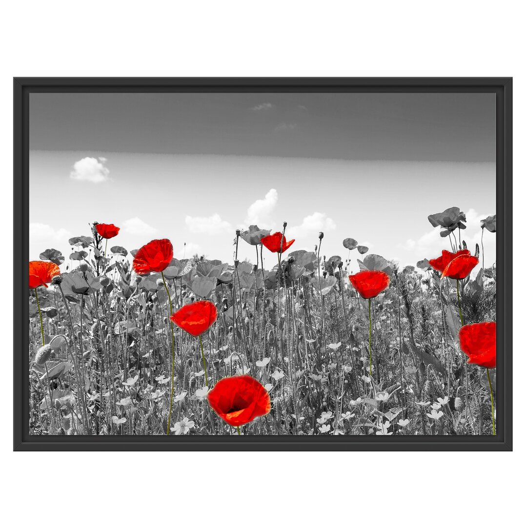 Gerahmtes Wandbild schöner rot leuchtender Mohn