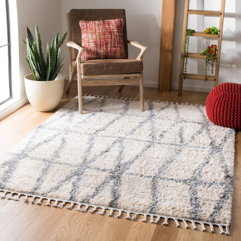 Barker Geometric Hand Woven Area Rug