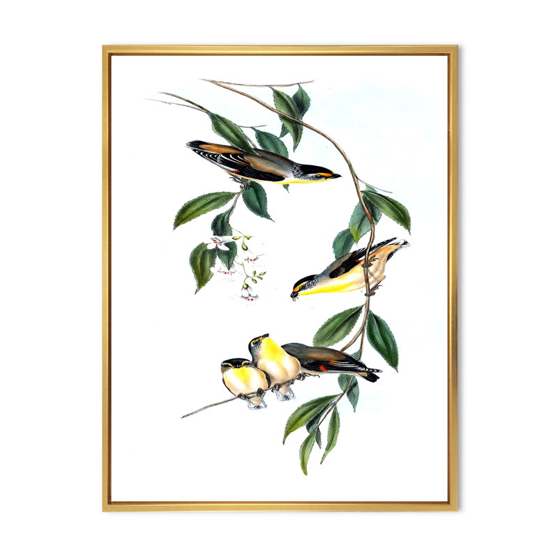 Oiseau rétro III - peinture sur toile, H 32 po x l 16 po x P 1 po, Cadre flottant doré