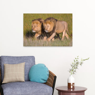 Deux frères de lion marchant dans une forêt, zone de conservation de Nhorongoro, région d'Arusha, Tanzanie, Panthera Leo, art contemporain de paysage forestier abstrait