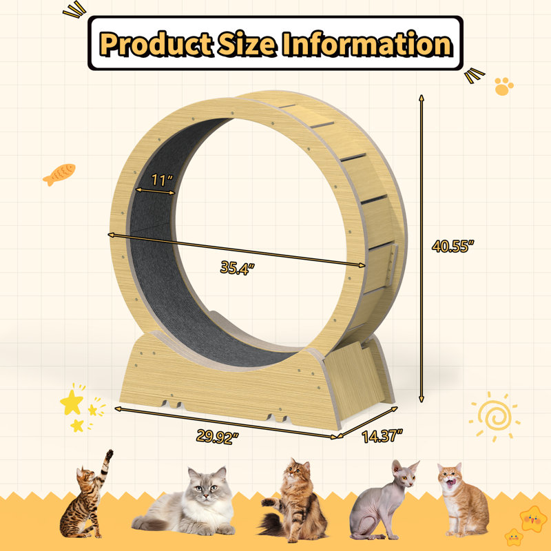Cat Running Wheel