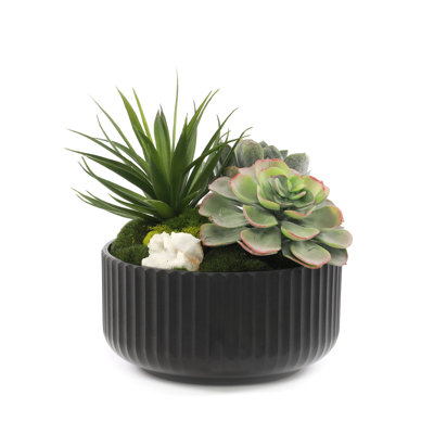 Plante grasse artificielle 9 po en pot