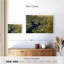 Alvord, Everglades, Floride-108930098