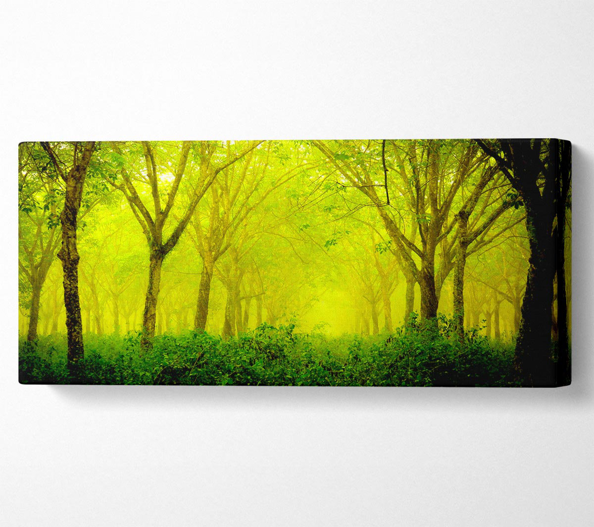 Union Rustic Stunning Green Forest - Wrapped Canvas Art Prints ...