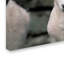 Ann «Lamb», reproduction de photo sur toile tendue-24191138