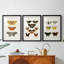 Papillons rétro IV - impression encadrée de qualité supérieure sur mesure mat - 3 pièces-611621985-611621986