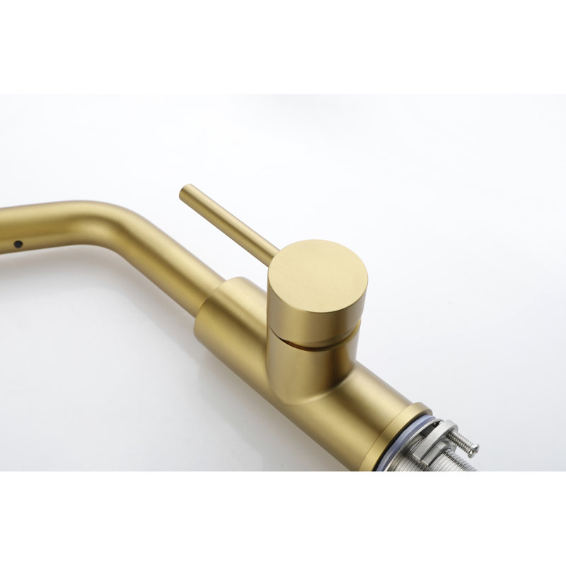 Utility Sink Faucets Single-Handle Pull-Out Laundry Faucet With Dual Spray Funcss Spot Resistant  Gold
