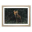 Portrait of a Fox - Picture Frame Painting Print-56758607-56758604