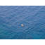 Blue Solitude Print by Vincent Dupont Blackshaw-65852376-65826584