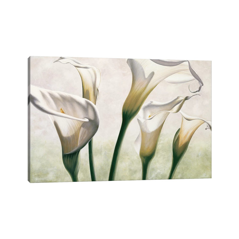 Luce by Eva Barberini - Wrapped Canvas Print, 66.04 cm H x 45.72 cm W