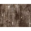 Hand Knotted Area Rug in Beige