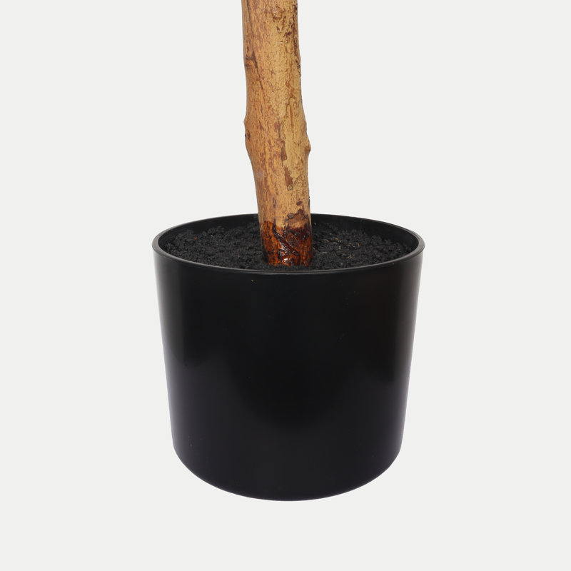 Ficus artificiel de 6 pi avec tronc de bois naturel véritable, fausse plante de ficus réaliste dans un pot en plastique noir, faux arbre d'intérieur réaliste pour la décoration de salon de bureau à domicile