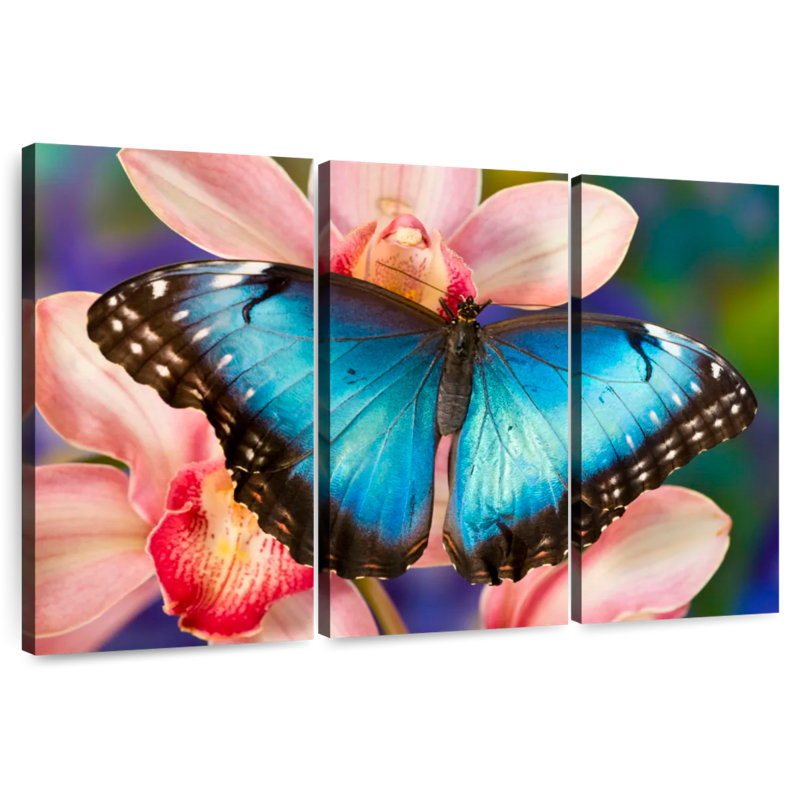 Butterfly On Orchids, 28" H x 45" W