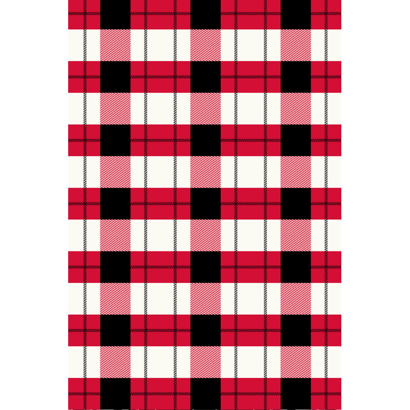 Soft & Durable Area Rug (23.6 x 39.4 inches), 100% Polyester, 650 g/m² | Non-Slip PVC Dot Underside, 0.3 in Pile Height | Machine Washable, 3D Digital Print | Ideal for Living Room, Bedroom & Play Areas