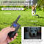 Collier de dressage pour chien