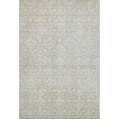 Premium Machine Washable Glanton AMF1231 Damask Rug