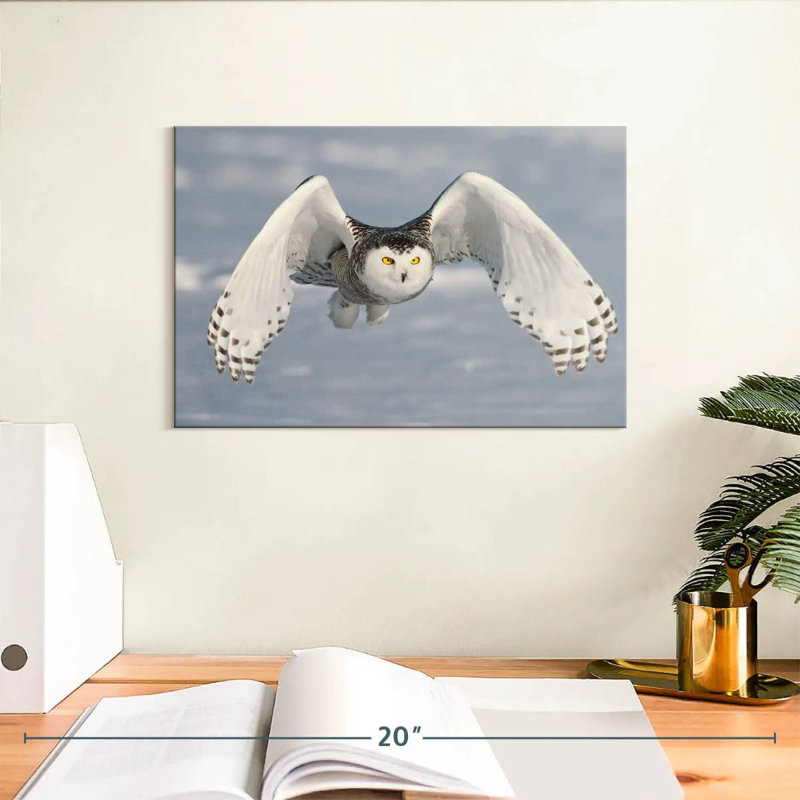 Brampt Owl In Winter, 8" H x 12" W