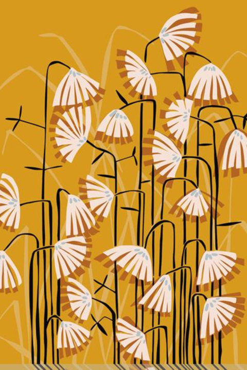 Whimsical Botanicals