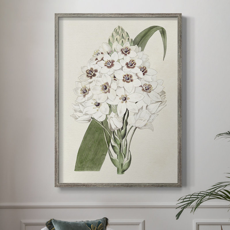 Flore Albo II Framed Print - Solid Wood, 11" H x 9" W