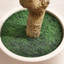 Olive artificielle Ashwell avec pot blanc -155919475