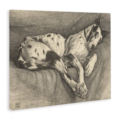 «Sleeping Hound», dessin par Bertha Van Hasselt