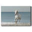 Toile tendue Camargue Beach-1758056090