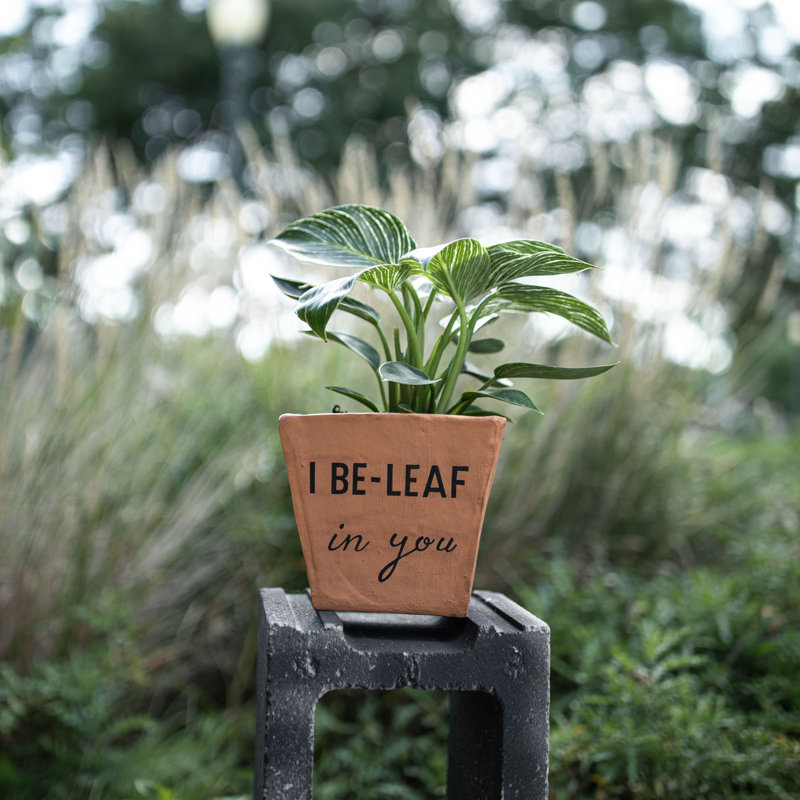Denena Pot Planter