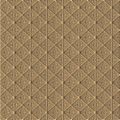 Indoor Rug