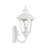 Lunar Wall Light-1993255162