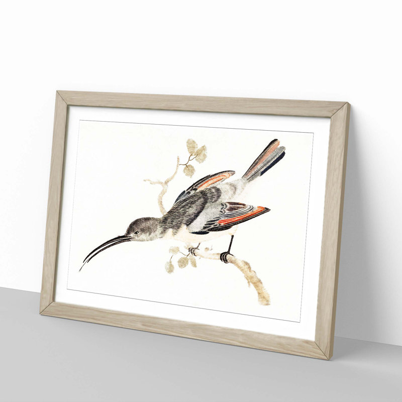 Hummingbird by Johan Teyler - Framed Print, 36cm H x 48cm W x 2cm D, Oak Framed