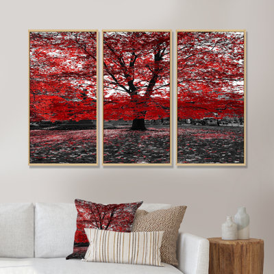 " Tree in Central Park " 3 Piece Art Color Photography Print