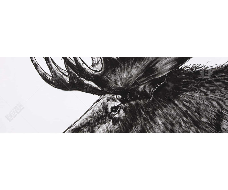 «Moose Plume» sur toile
