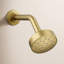 Awaken G90 Single-Function Full/Standard Fixed Shower Head-749082038-777960555