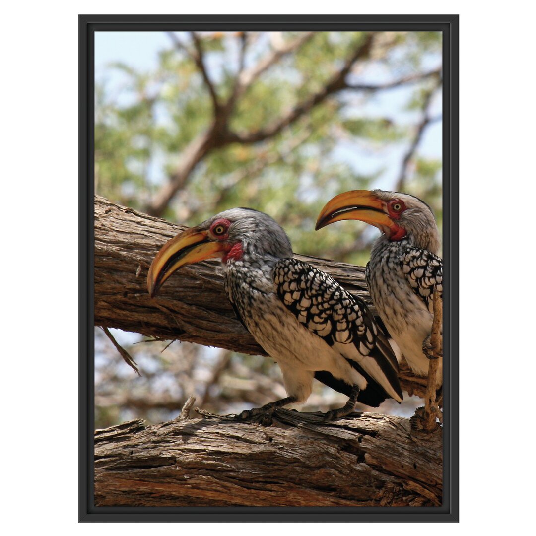 Gerahmtes Wandbild zwei exotische VÃ¶gel auf Baum