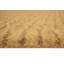 Romanze Hand Woven Beige Indoor Rug-49835811
