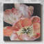 Sur toile, impression-816944567