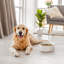 Hexagon Embossed Pattern Anti-skid Stoneware Dog Bowl-116384245