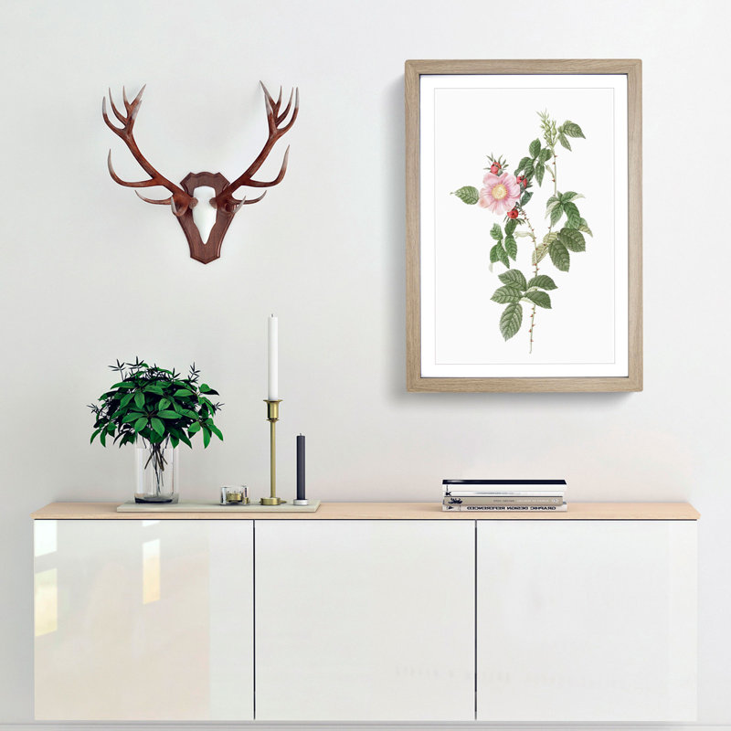 Dog Rose in Pink by Pierre-Joseph Redoute - Picture Frame Painting Print, 48cm H x 36cm W x 2cm D, Oak Framed
