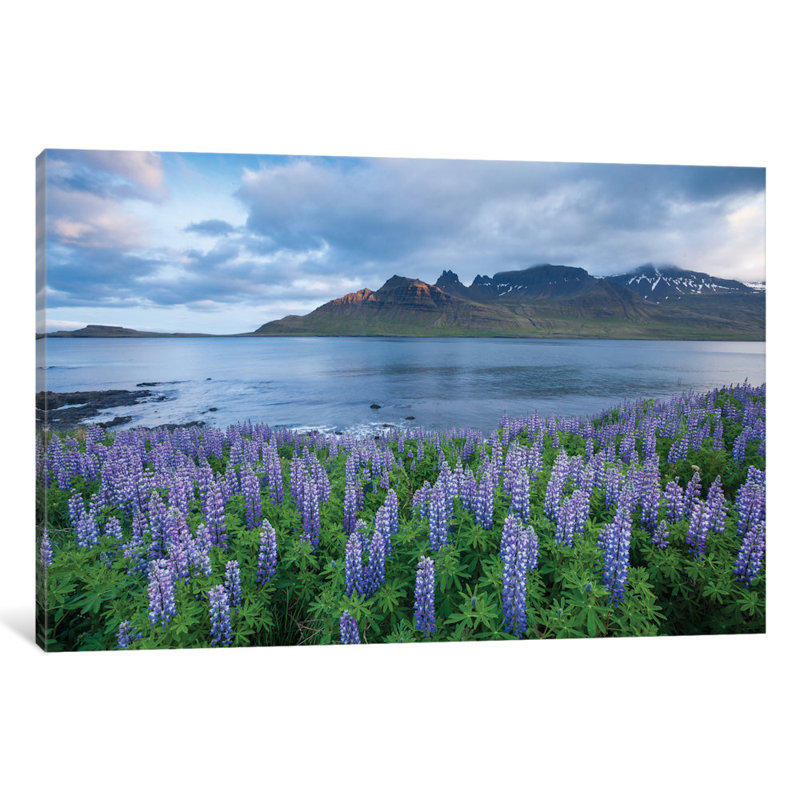 «Nootka Lupines I» par Gareth McCormack - reproduction de photo sur toile, H 40 po x l 60 po x P 1,5 po