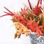 Arrangement floral en pot