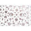 Oriental Area Rug-1658177837
