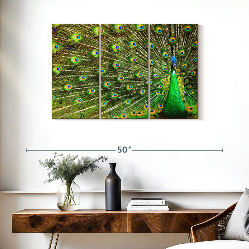 Brampt Showing Off Peacock Feathers, 24" H x 38" W