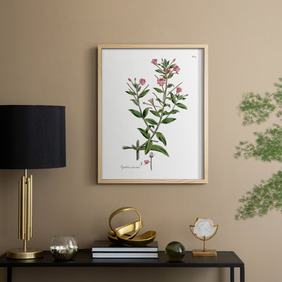 Rose Botanical III, reproduction encadrée - bois massif