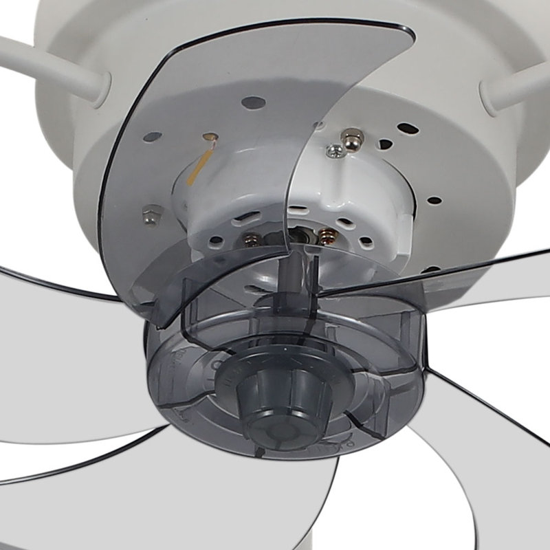 Colaizzo Ceiling Fan with LED Lights