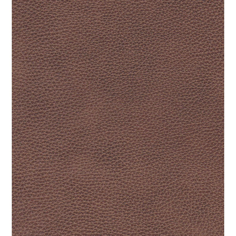 Mikey 64'' Leather Power Reclining Loveseat, Brown Leather Match