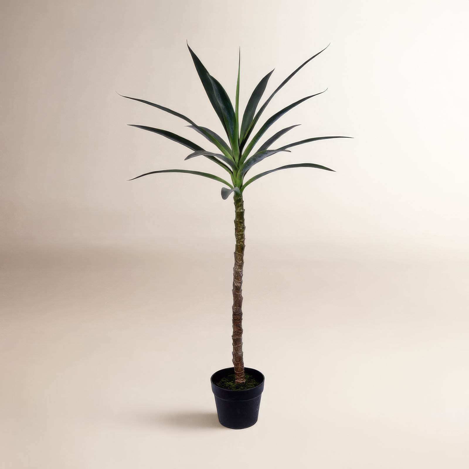 Faux Yucca Tree in Pot, 44" H x 10" W x 10" D