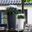 Lechuza Cilindro Color Self-watering Planter with Drainage Hole and Water Level Indicator-26992039-26992037