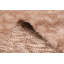 Tapis Eden Flokati Brun 9'9" x 13'1"
