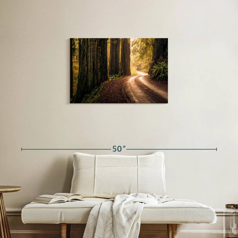 Redwoods de Howland Hill Road, H 20 po x l 30 po